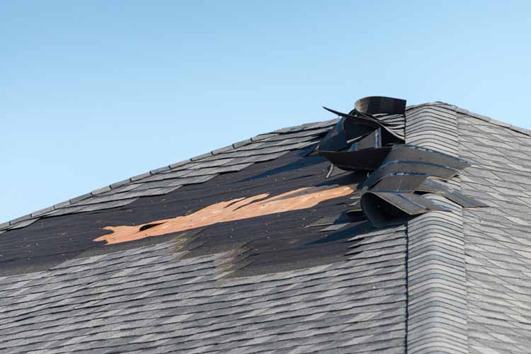 shingle-wind-damage